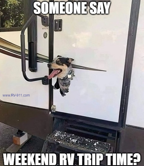 Funny RV Meme with a dog